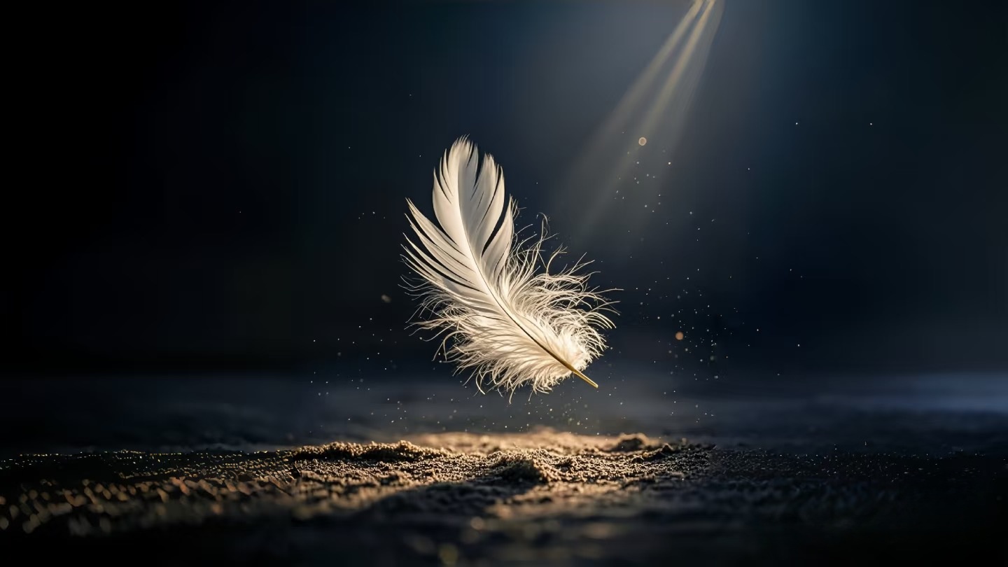 抖音教程各种技术流：要是去做这些事你的抖